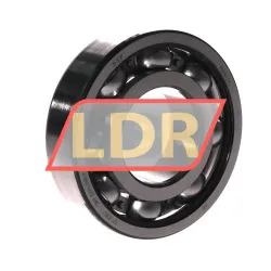 SKF 6309/C4