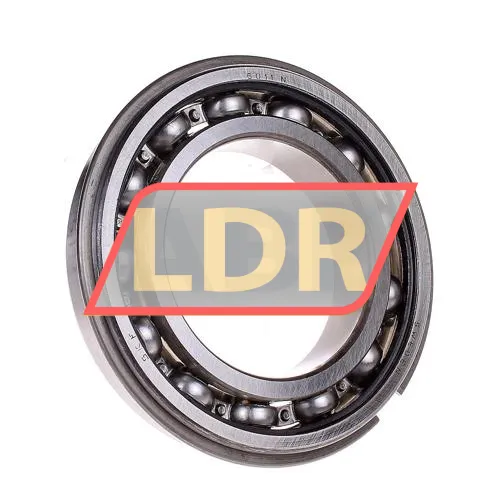 SKF 6011NR