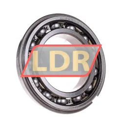 SKF 6011NR