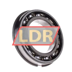 SKF 6011NR rulman resim 2