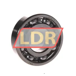 SKF RLS10