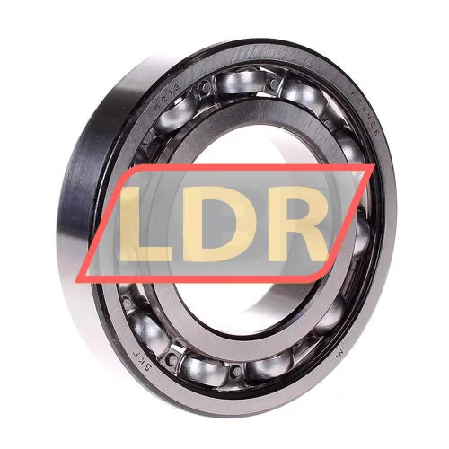 SKF 6213