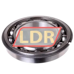SKF 6016NR
