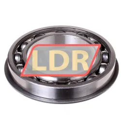 SKF 6016NR rulman resim 2