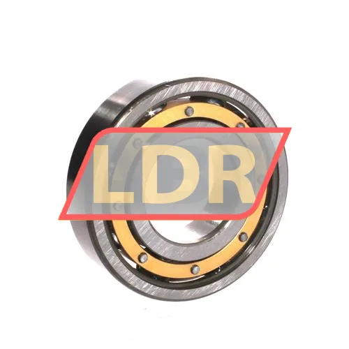 SKF 6309M ürün fotoğrafı 2