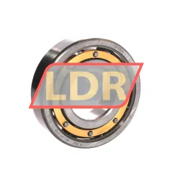 SKF 6309M