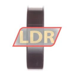 NKE 6206-MA-P63-OEM rulman resim 2