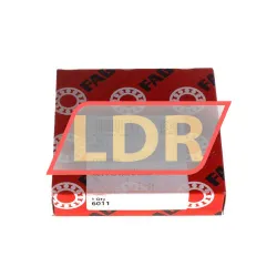 FAG 6011 rulman resim 2
