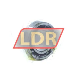 NSK 6005TCG12P4 TN5X5