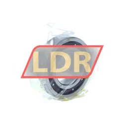 NSK 6005TCG12P4 TN5X5 rulman resim 2