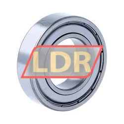 SNR 6005ZZC3 rulman resim 2
