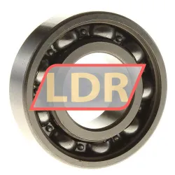 NTN 6004LU rulman resim 2