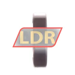 NKE 16001 rulman resim 2