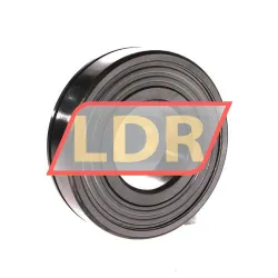 Steyr 6311 2ZN/Q6 rulman resim 2
