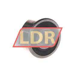 Nachi 62303 2NSL rulman resim 2