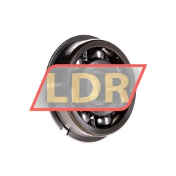 NSK 6303NR rulman resim 2