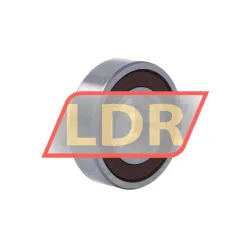 NSK 6002DDUCM