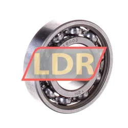 SNR 16003