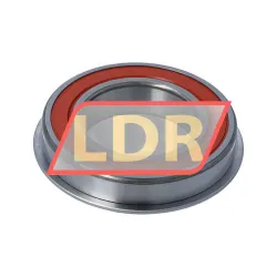 NTN 6008LLUNR rulman resim 2