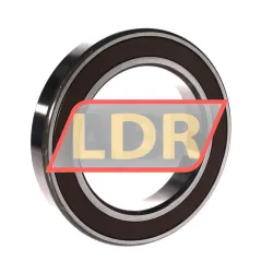 NSK 6021DDUCM