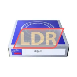 NSK 6319DDU rulman resim 3