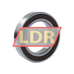 Keep Moving Long 6012-2RS-C3