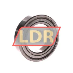 Rollway 6009ZR