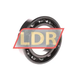 SNR 6009-Z rulman resim 2