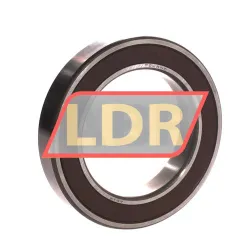 NSK 6013DUCM