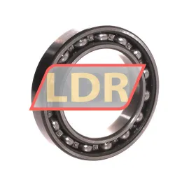 NSK 6013DUCM rulman resim 2