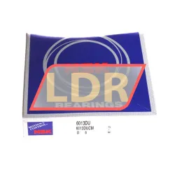 NSK 6013DUCM rulman resim 3