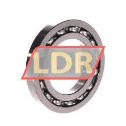 NSK 16008 rulman resim 2