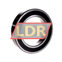 NTN 6016LLB