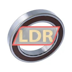 NSK 6020DDUC3 rulman resim 2