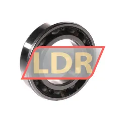 SNR 6007E rulman resim 2