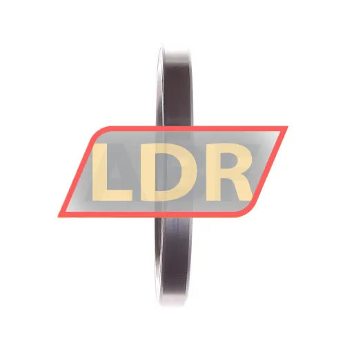 NKE 61815-2RSR ürün fotoğrafı 3