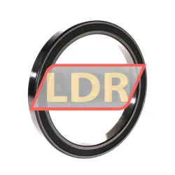 INA 61828-2RZ-HLU