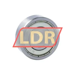 Keep Moving Long 6000-ZZ rulman resim 2