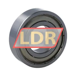 Rollway 6004Z