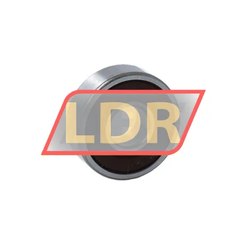 NSK 607DDMC5