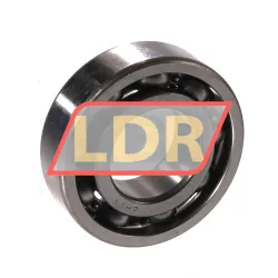 NTN 6004CM17 rulman resim 2