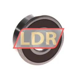 NSK 6304L11DDU rulman resim 2