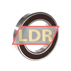 NSK 6013DDUCM rulman resim 2