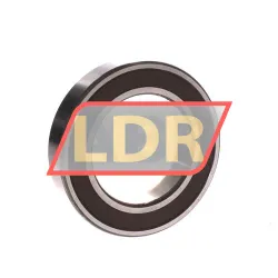 NSK 6011DDUCM