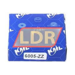 Keep Moving Long 6005-ZZ rulman resim 3