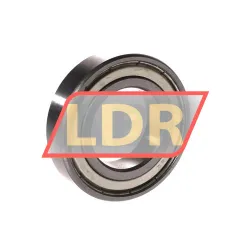 CX 6006ZZ rulman resim 2