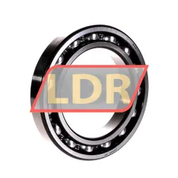NTN 6021LU