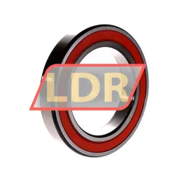 NTN 6021LU rulman resim 2