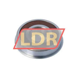 NSK 6306DDUNR rulman resim 2