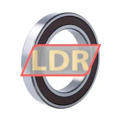 NSK 6019DDU